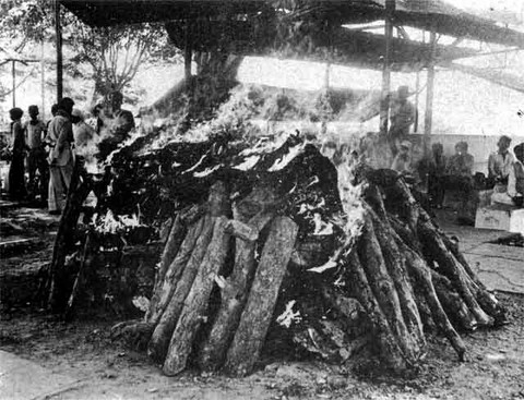 Bhopal 1984 Funeral pyres
